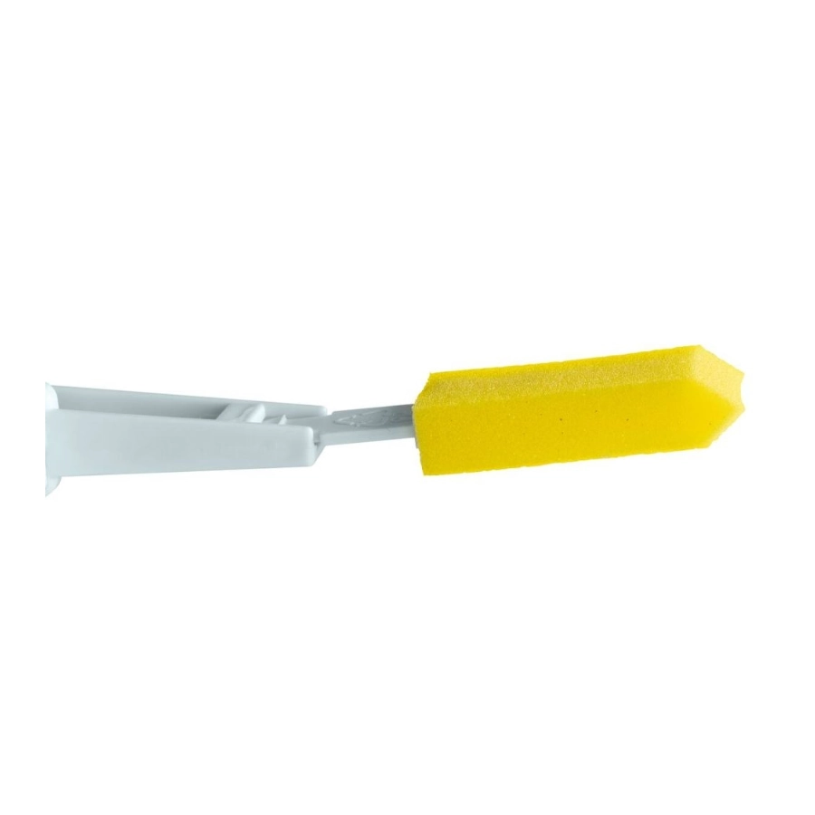 Brosse pédicure 